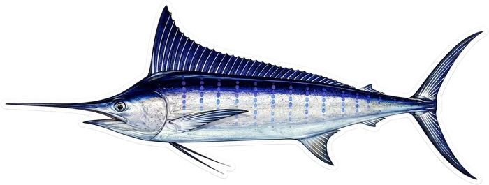 Ilustración de un marlin azul de perfil