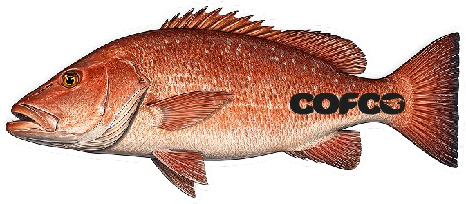 Ilustración de un pargo cubera de perfil