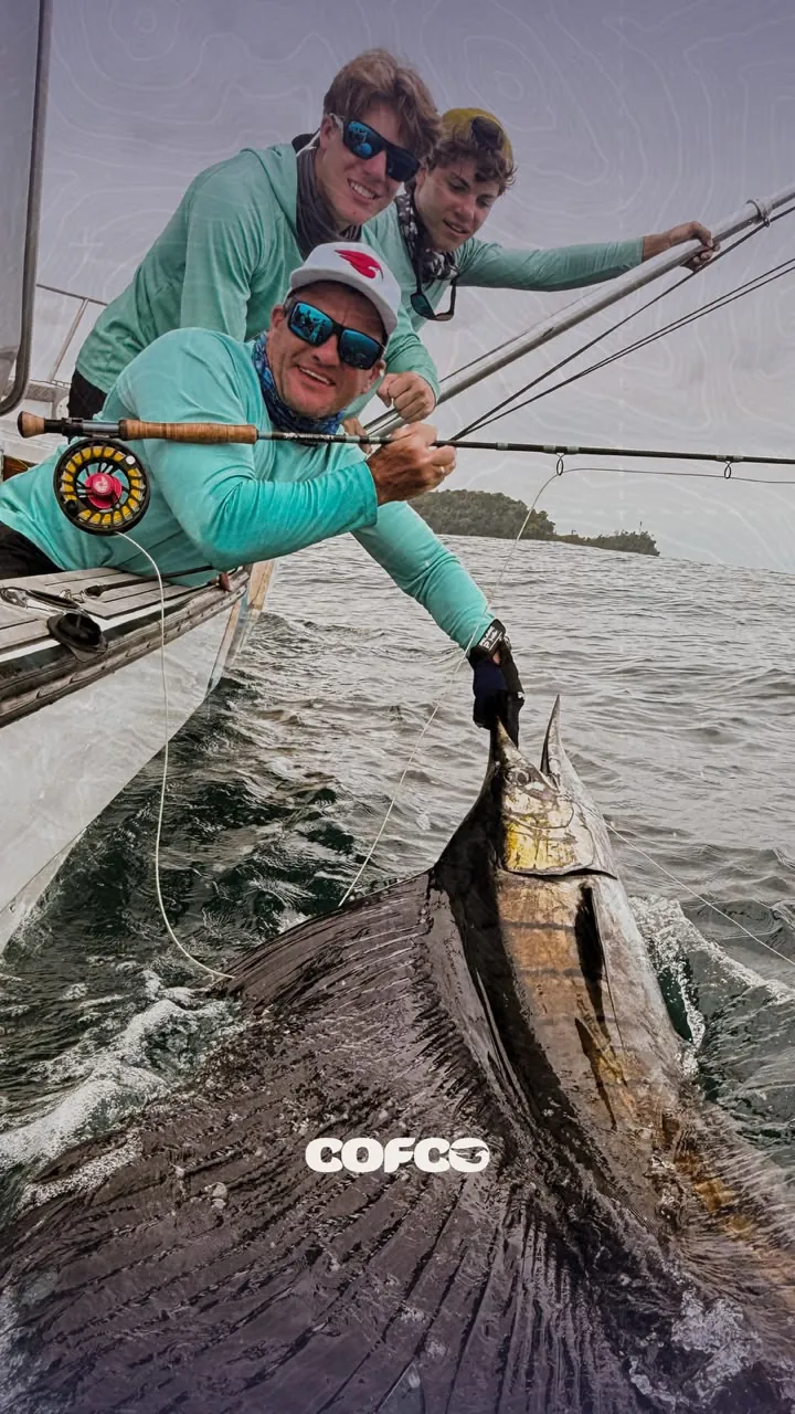 Pez vela junto al bote con la vela desplegada